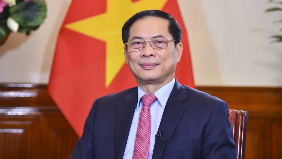 Deputy PM and Foreign Minister Bui Thanh Son to visit China